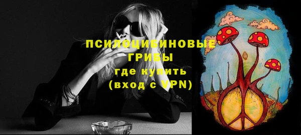 молекула духа Абинск